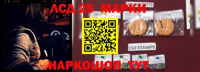 СК Новозыбков