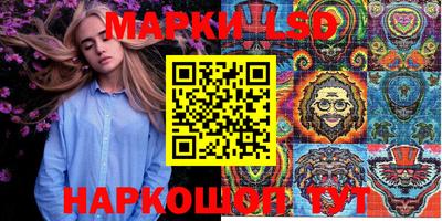 крисы Новокубанск