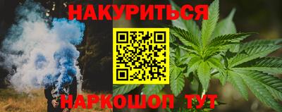 крисы Новокубанск