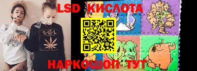 СК Новозыбков