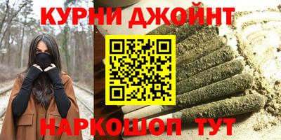 крисы Новокубанск