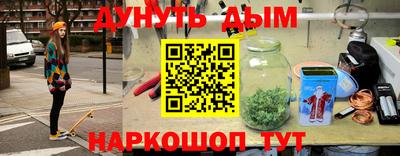 крисы Новокубанск
