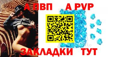 крисы Новокубанск