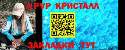 СК Новозыбков