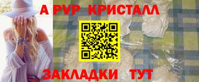 СК Новозыбков