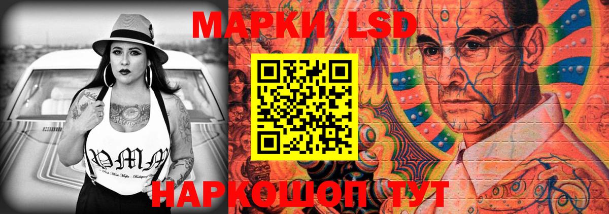 A-PVP Узловая