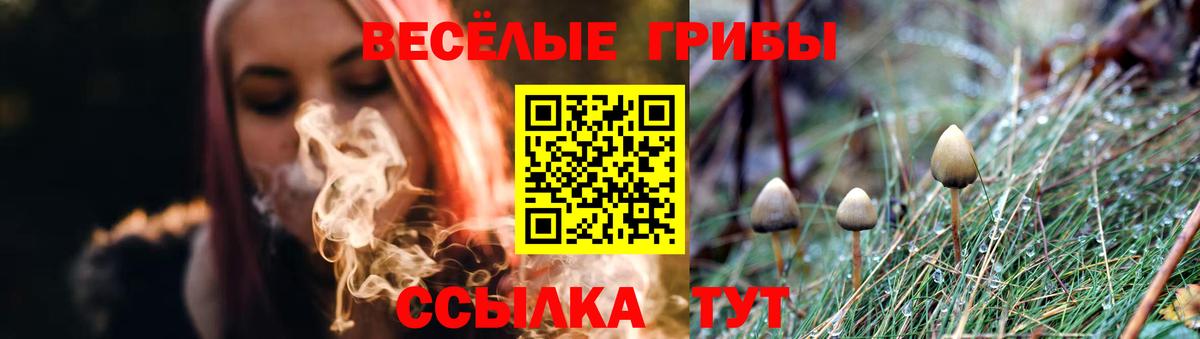 Узловая  Галлюциногенные грибы Psilocybine cubensis  Вход с VPN 